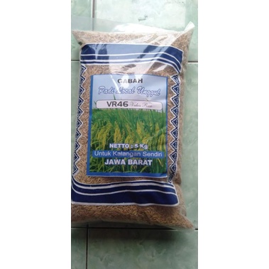 VR 46 original 5kg