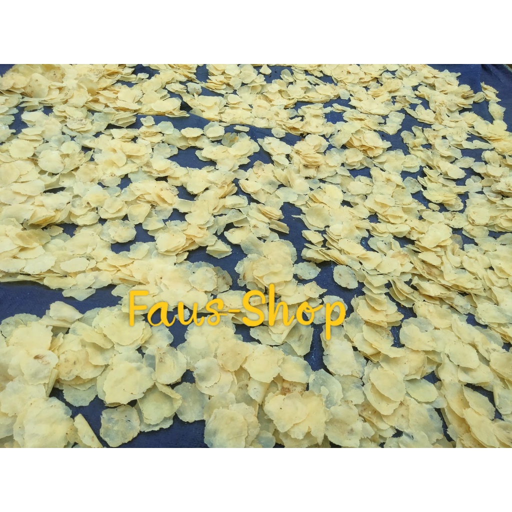 

EMPING MINI MENTAH BERKUALITAS 250 GRAM