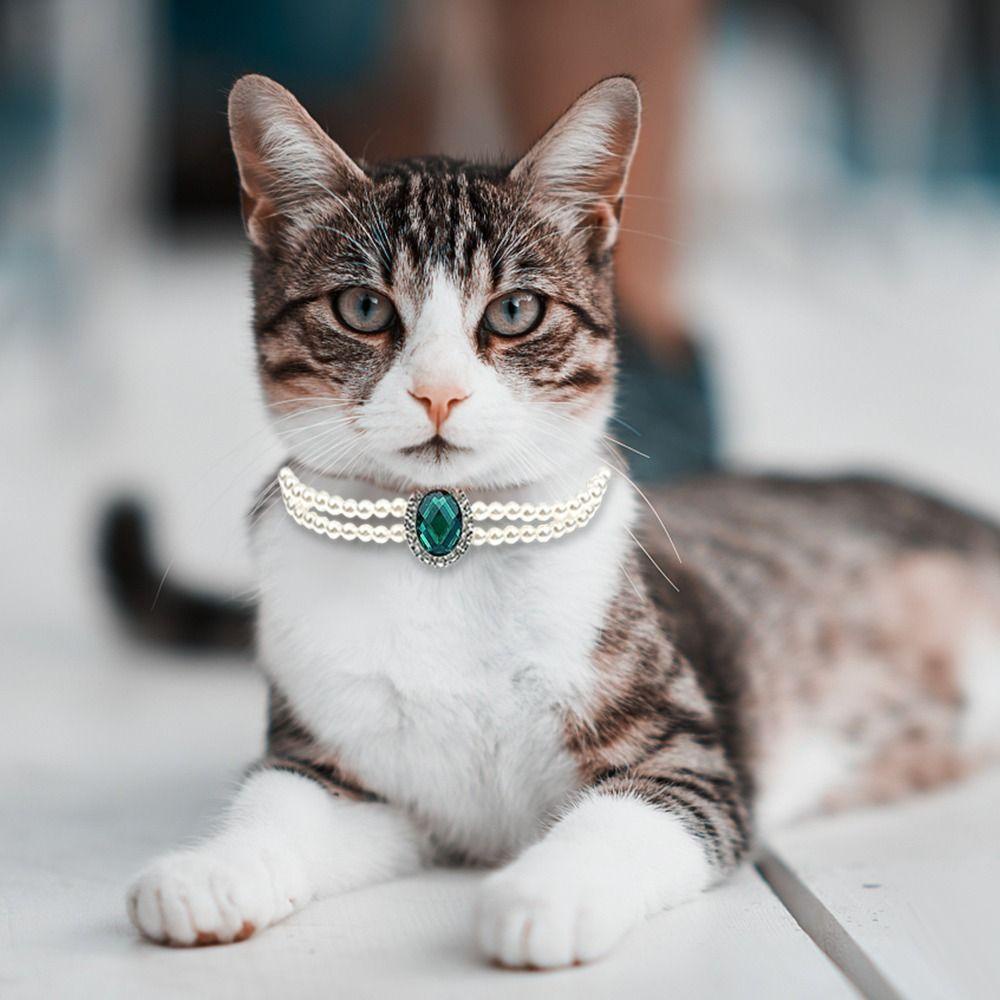 Solighter Pet Bow Collar Cute Cat Perlengkapan Adjustable Puppy Aksesoris Bow Dog Bell