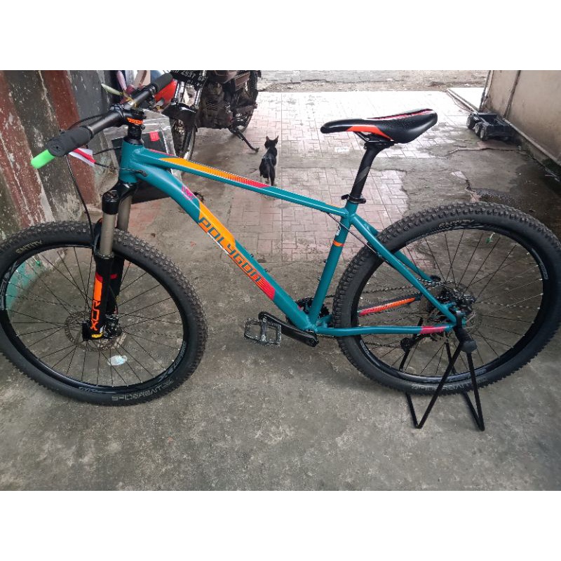 Polygon Xtrada 6 2019