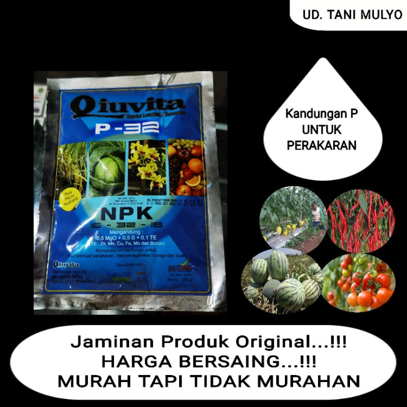 QIUVITA BIRU P-32 100 Gram