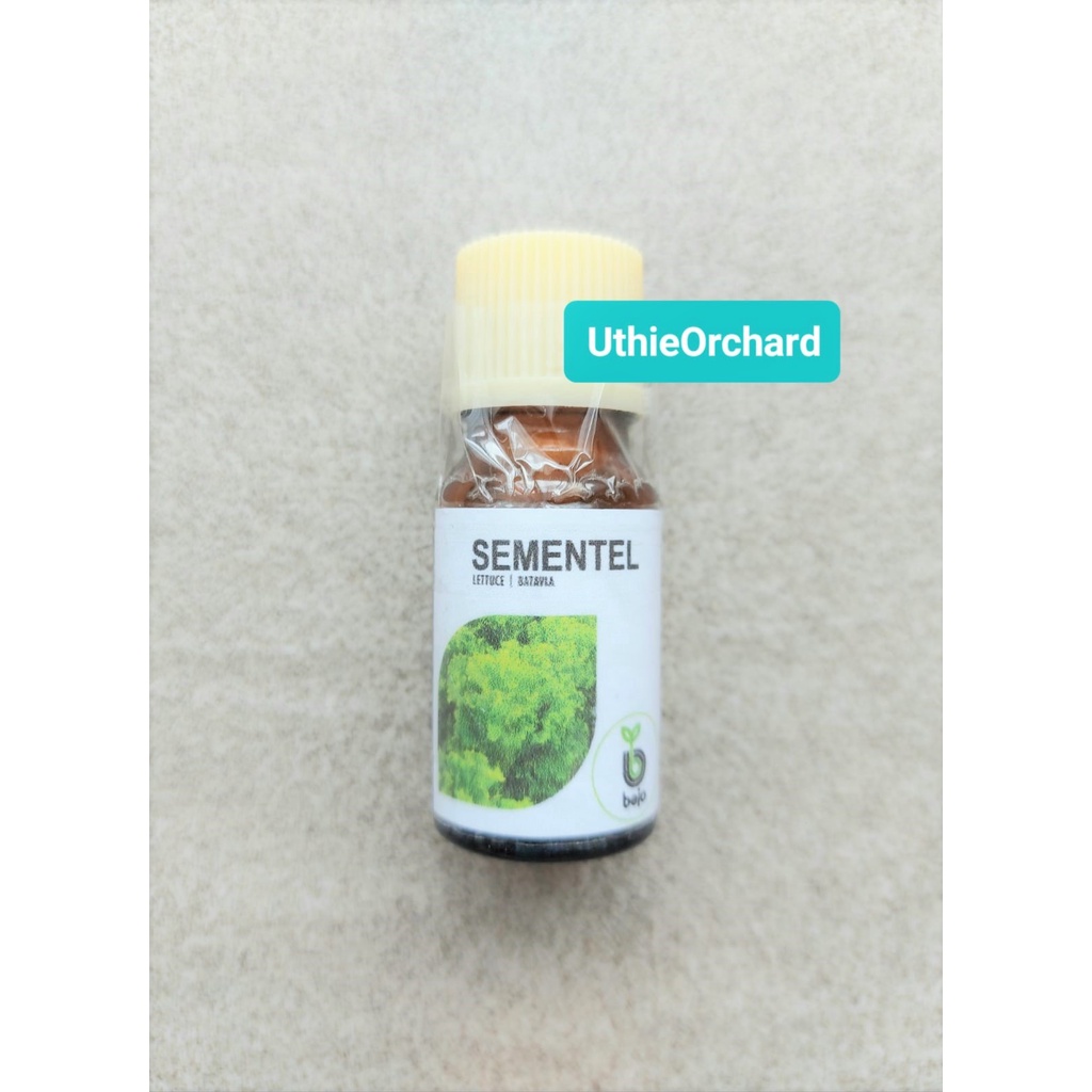 Benih Bejo Seed - Selada Batavia Sementel Kemasan 100 pills