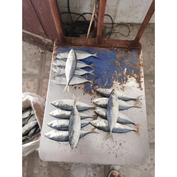 

Peda Banyar Murah Isi 1kg