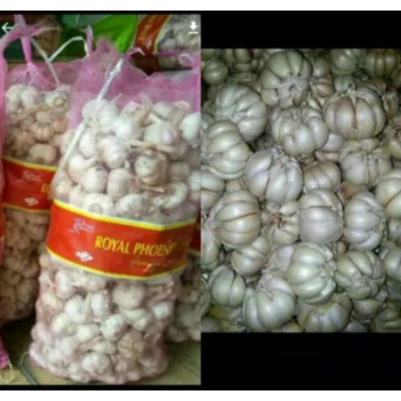 

Bawang Putih Honan KOTOR per BAL khusus INSTANT