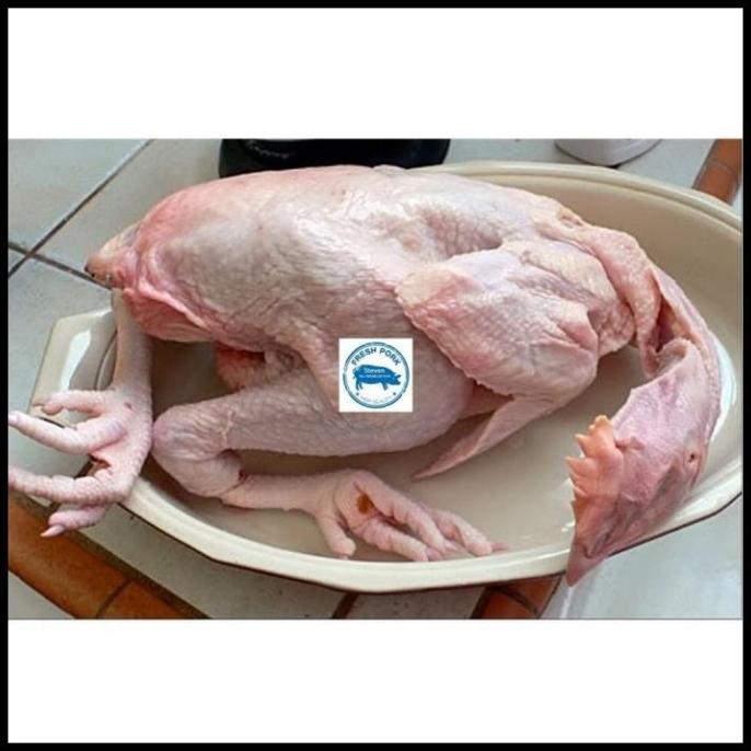 

SALE AYAM KAMPUNG SEGAR 900 - 100 GRAM ( FRESH CHICKEN VILLAGE ) F5464RY