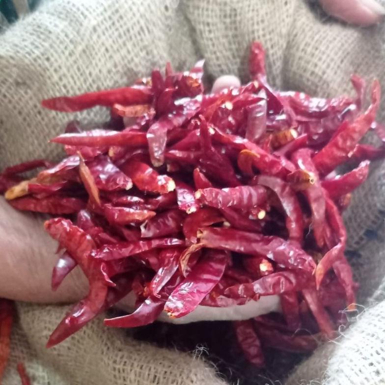 

PRODUK- CABAI RAWIT KERING / CABAI TEJA BERSIH TANPA TANGKAI 500GRAM .