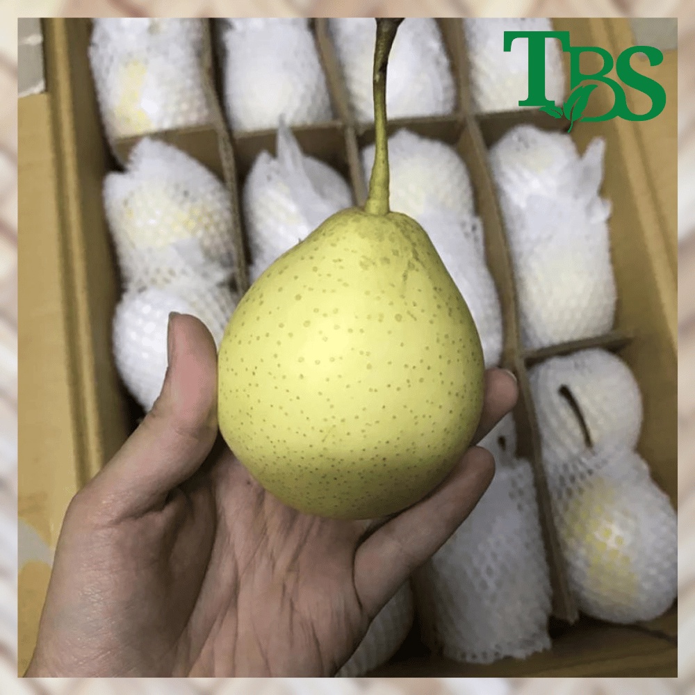 PEAR YA LIE 1 KG (KHUSUS SAMEDAY DAN INSTAN)