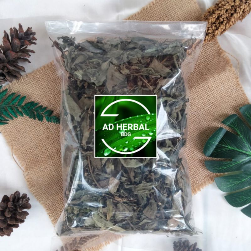 

Daun Kumis Kucing Kering Rempah Herbal Alami Atasi Batu Ginjal Isi 500 Gram