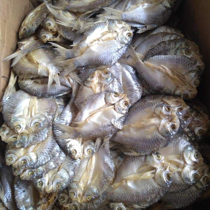 

IKAN ASIN TAWES 100gr