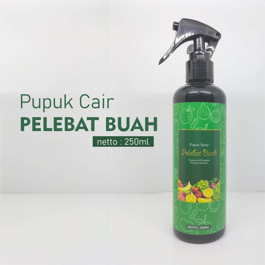 PUPUK PELEBAT BUAH | nutrisi tebaik untuk melebatkan buah