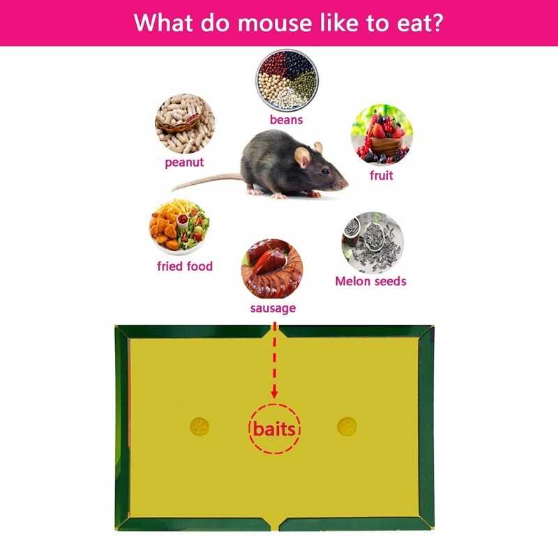 

TOPONE Lem Tikus Papan Strong Adhesive Enlarged Thickened Mouse - TRG-9 - RTNG