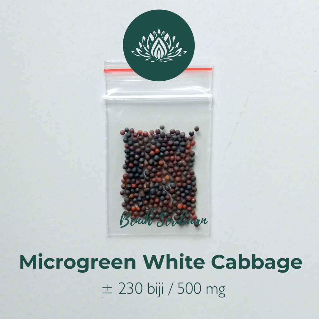 Benih Seribuan - 230 Bibit Microgreen White Cabbage Sprout Organik Unggul