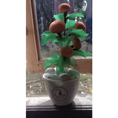 bunga stoking jeruk Santang/ bunga stoking/ bunga hias