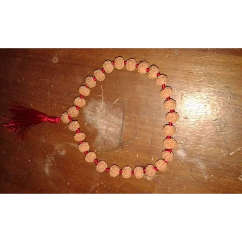rudraksha,Jenitri