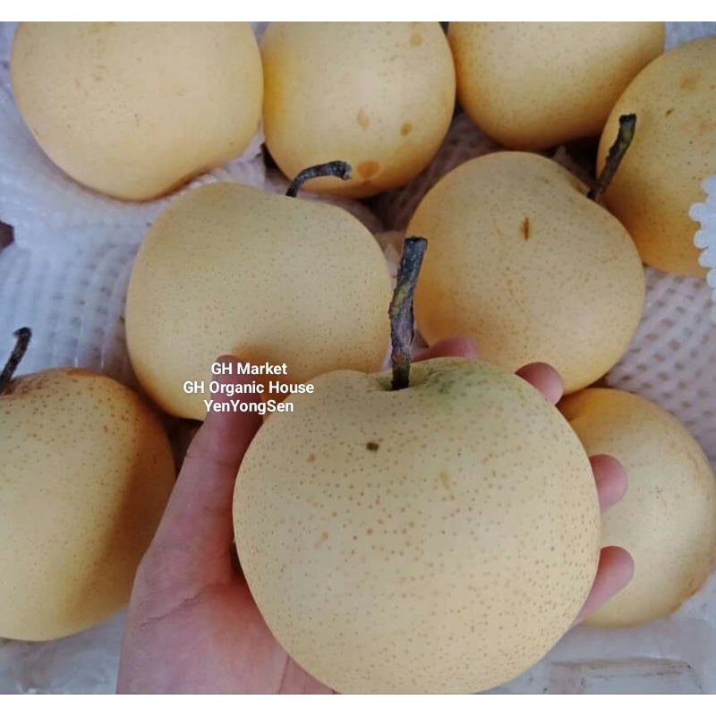 

Buah Pear Kuning Fresh Segar Pilihan Buah Pir Import