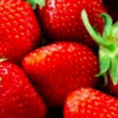 

Buah segar strawberry organik fres per 1 pak