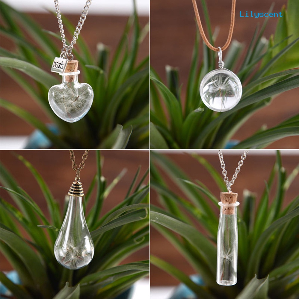 Ls Unisex Dried Dandelion Bow-knot Pendant Glass Wish Bottle Kalung Rantai Panjang