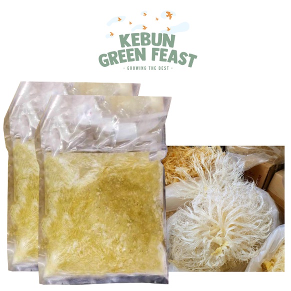 

Sirip Ikan Hiu Frozen - Huchi/Hechi - Sirip Hiu - Frozen Food