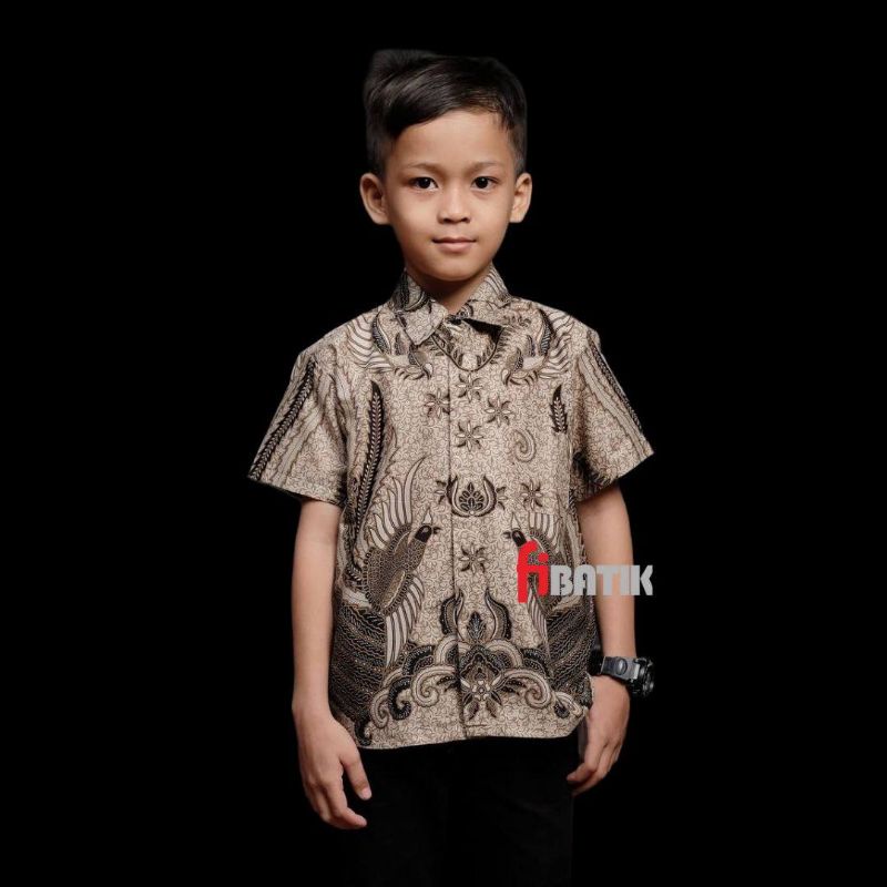 KEMEJA BATIK PRIA LENGAN PENDEK BIG SIZE JUMBO M.L.XL.XXL.3XL.4XL.5XL.6XL.7XL.8XL.10XL