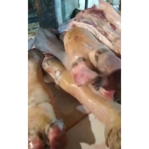 kaki sapi utuh segar/satuan