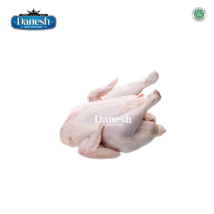 

Ayam Fresh Ukuran 0,7 kg Ayam Segar Frozen Food Makanan Beku