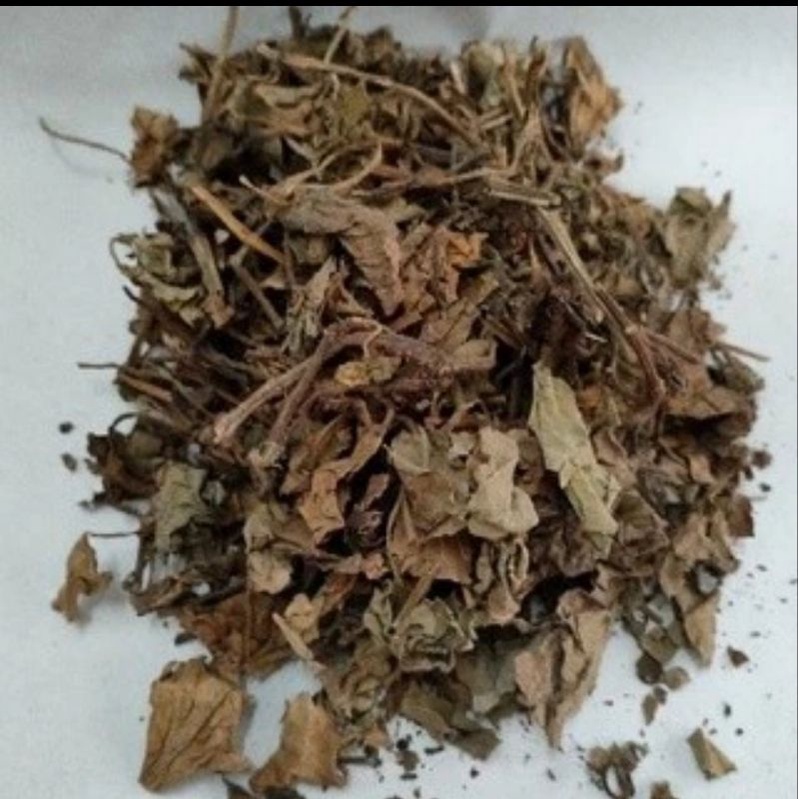 

300 G GR GRAM 鱼腥草 YU XING CAO HEARTLEAF HOUTTUYNIA HERB