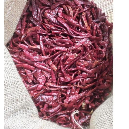 

➺ Cabe TEJA Merah Kering 1kilogram Dijamin Pedas Dan Fresh ◊