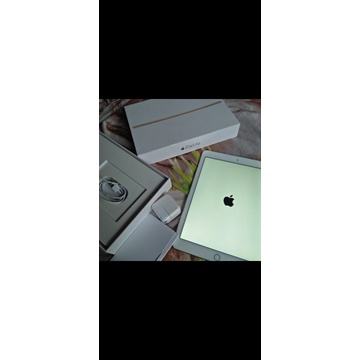iPad Air 2 Second mulus noken