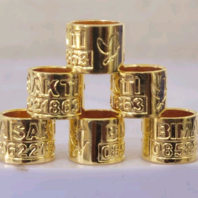 RING BURUNG KUNINGAN UKIR STANDART 39 | CUSTOM CETAK NAMA | MERPATI | PERKUTUT DLL