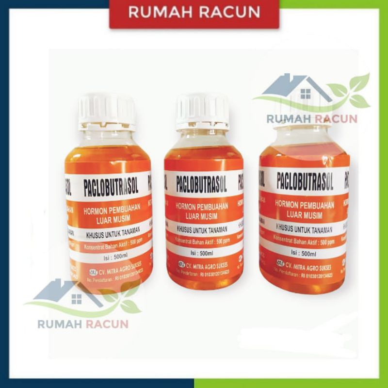 ZPT PACLOBUTRAZOL HORMON MURNI PEMBUAHAN DI LUAR MUSIM 500 ML