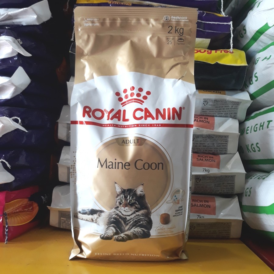 Royal Canin Maine coon Adult 2 kg