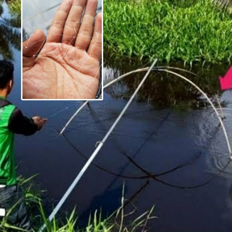 jaring anco lubang 2 inchi ( 2.5cm x 2.5cm) untuk mujaer nila bandeng