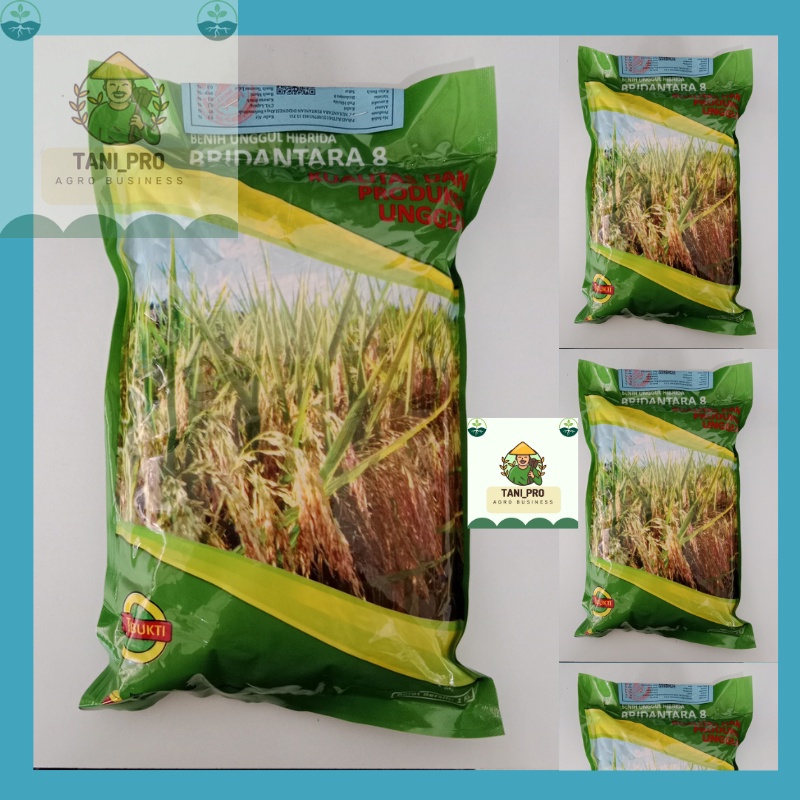 Benih Padi Bridantara 8