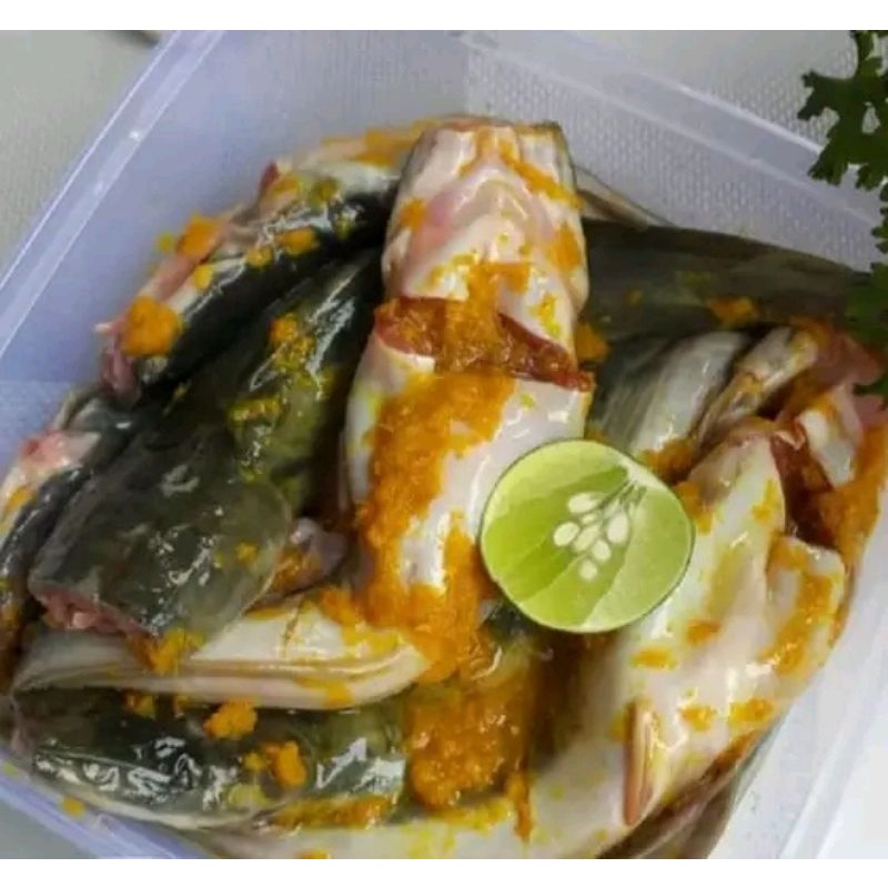 

Lele bumbu kuning isi 4-5 ekor / Lele marinasi segar fresh gurih