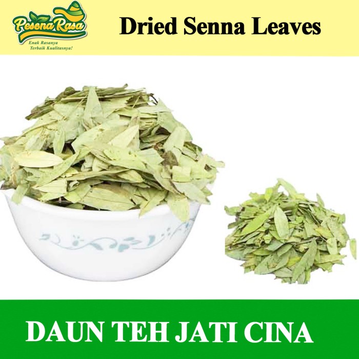 

Daun Jati Cina 1 kg Organik / Grosir Daun Jati Cina Pesona Rasa