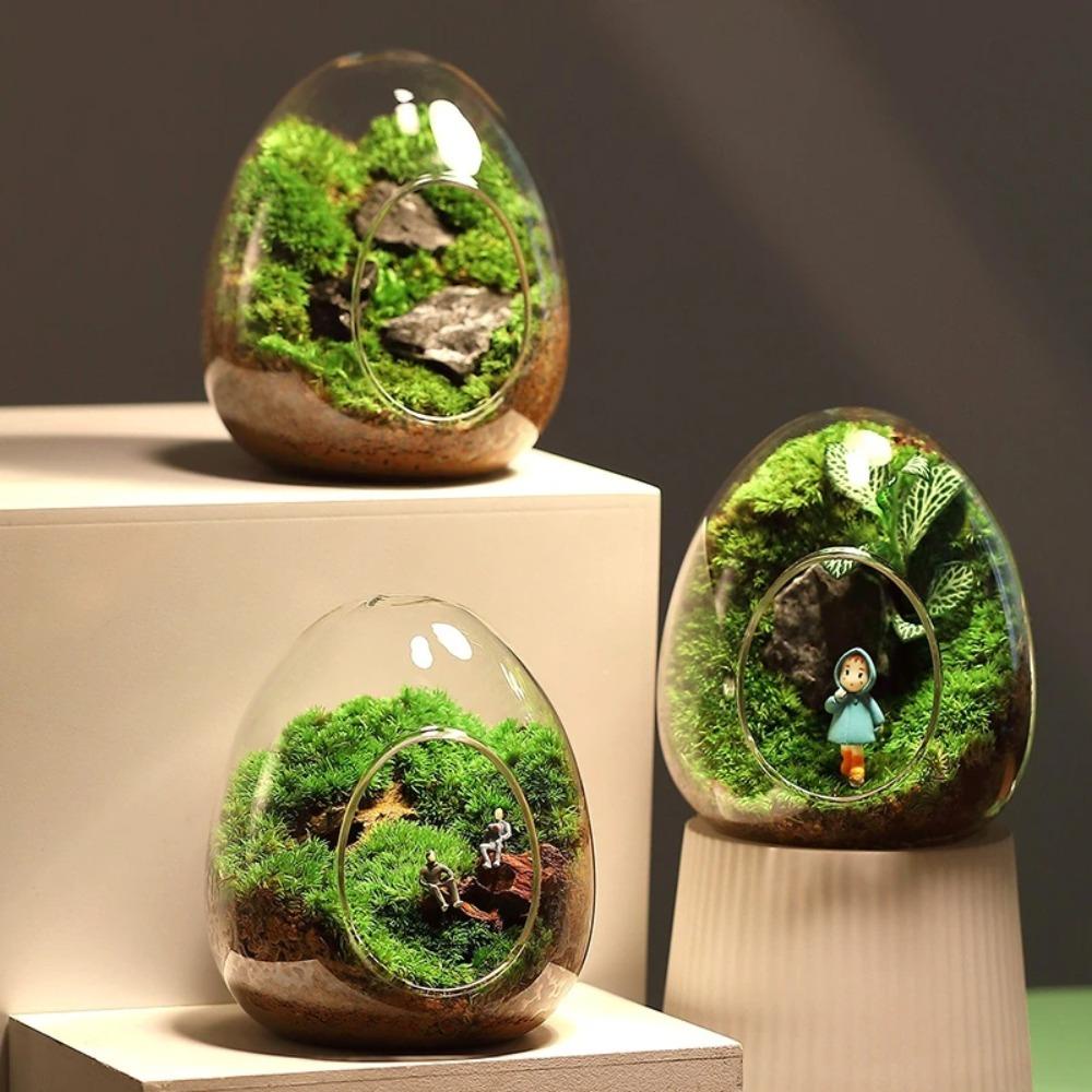 Suyo Botol Kaca Terrarium Kreatif Hidroponik Micro Landscape Glass