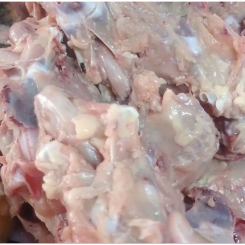 

TULANG AYAM Campur 1kg