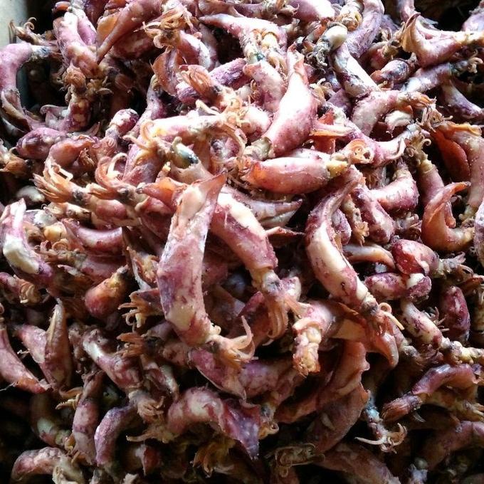 

Best Seller.. (best seller)Cumi sotong kering /ikan asin cumi kering/ikan asin tawar cumi asin kerring murah 1 kg/ 500 gr/250gr/ 100grm 70