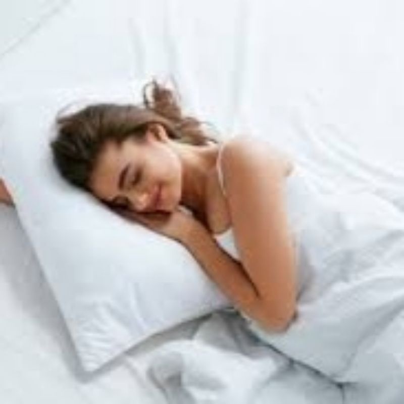 BANTAL TIDUR - BANTAL KEPALA DEWASA - BANTAL HOTEL