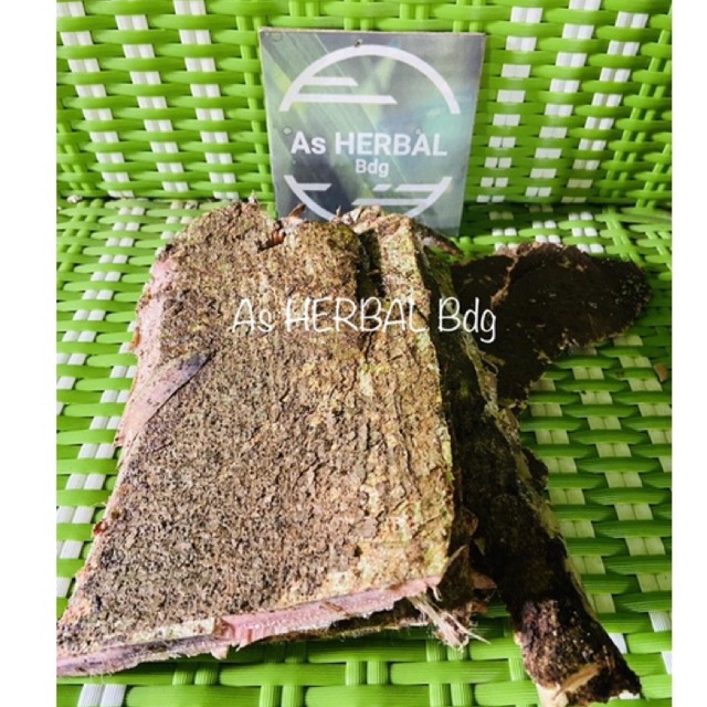 

Kulit pohon loa kulit pohon ara segar 500 gram-az