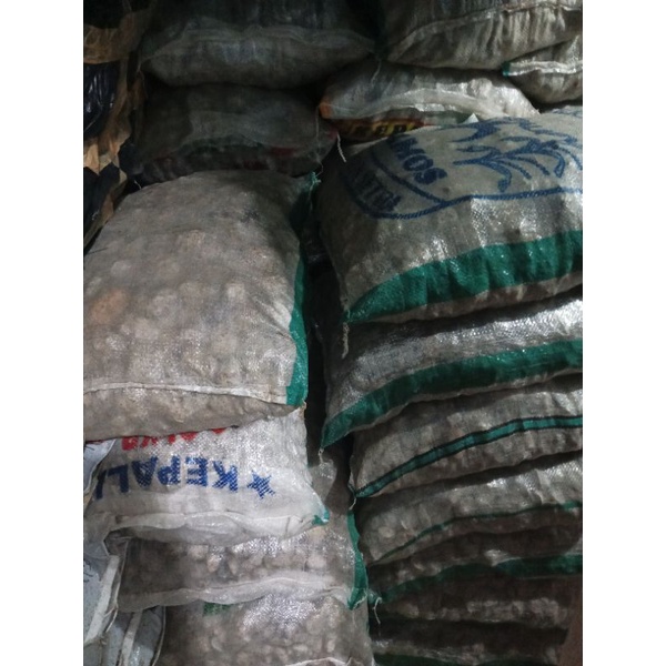 batu apung karungan 10kg / batu apung 1 karung / batu apung