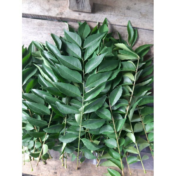

Daun Kari Segar/ Salam Koja / Koro belek 5 tangkai