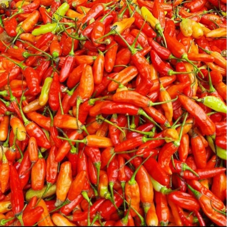 

[ SALE ] Rawit merah pedas 250gram