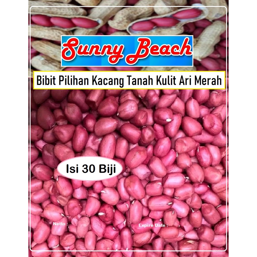 Bibit Pilihan Kacang Tanah Kulit Ari Merah|Bibit Kacang Tanah Merah