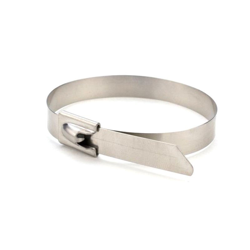 Cable Ties Tali Tis Stainless Steel 4.6mm