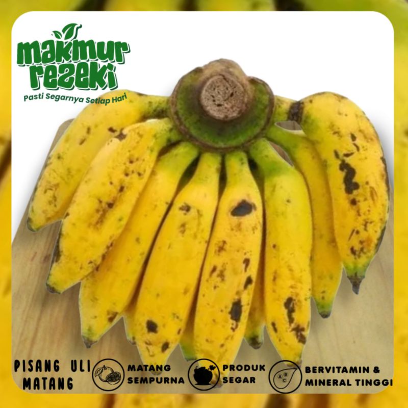 

PISANG ULI KETAN MATANG 1 SISIR HARGA PER SISIR MURAH MANIS