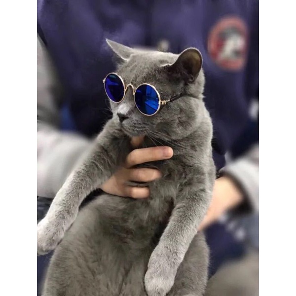 Kacamata Viral Pet Glasses Kucing/Anjing Lucu Foto