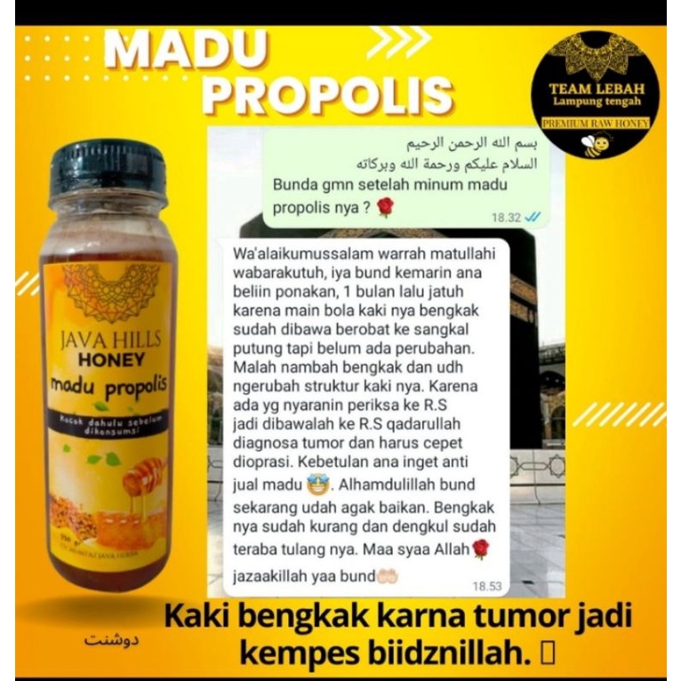 

MADU JAVAHILLS PROPOLIS 330 GRAM