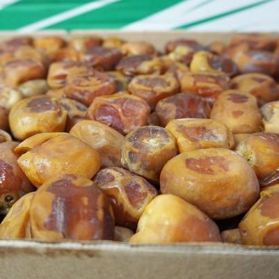 

Diskon | FG2 | Kurma Raja Sukari Basah 3Kg Kurma Sukkari Premium Asli 100% Original