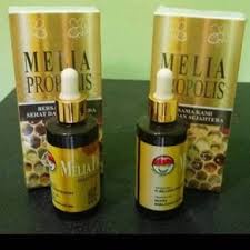 PROPOLIS ORI KEMASAN 1 BOTOLAN 6ml / propolis 55ml / propolis / obat propolis sm